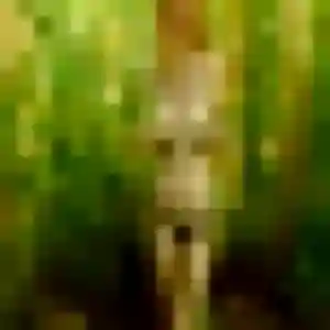 Arame, 31 ans, veut un rencontre adulte à Rennes