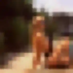 Evelyne (45 ans) à Reugny propose un rencontre adulte ce soir