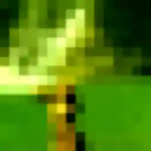 Tabitha, 38 ans, dispo pour rencontre adulte à Reyssouze