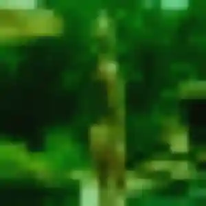 Adaora (19 ans) à Rians propose un rencontre adulte ce soir