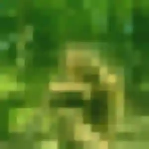 Photo de Célestine à Ribaute-les-Tavernes (39 ans) - rencontre adulte sans inscription