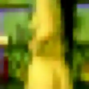 Merveille, 20 ans, cherche un rencontre adulte à Ribemont