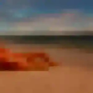 Capucine, 20 ans, veut un rencontre adulte à Rignac