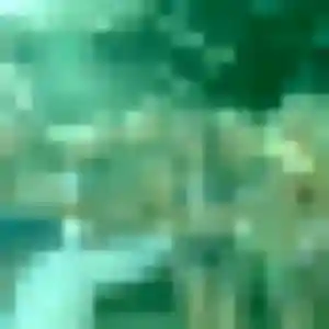 rencontre adulte à Rimogne : photo de Zuri, 31 ans - accès libre