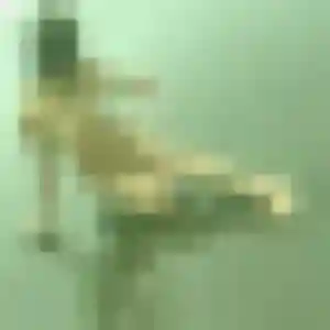 Photo exclusive de Solange, 33 ans à Robert-Espagne - rencontre sans lendemain