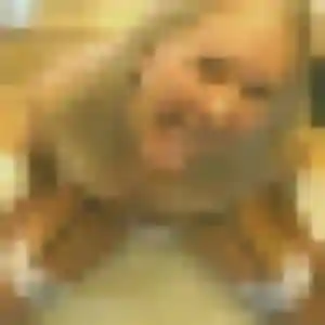 Thalia, 28 ans, connectée à Rodilhan pour un rencontre adulte