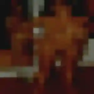 Déborah, 21 ans, cherche un rencontre adulte à Rœschwoog