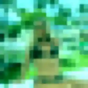 Photo de Célestine à Rognac (39 ans) - rencontre adulte gratuit