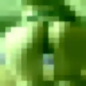 Akinyi (25 ans) à Roquemaure cherche un rencontre adulte rapidement