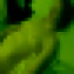 Contacte Chancelle, 28 ans à Roquemaure en t'inscrivant