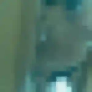 Rejoins Delphine, 33 ans à Roquesérière en privé