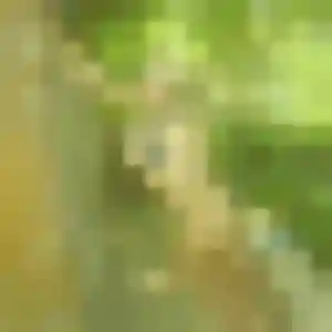 Dienaba, fille de 34 ans propose rencontre adulte à Roscanvel