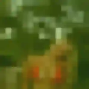 Adjoua de Roubaix, 44 ans - rencontre adulte sans lendemain