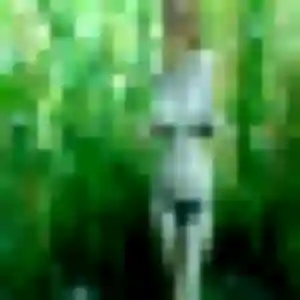 Hope de Rouillon, 26 ans - rencontre adulte sans lendemain