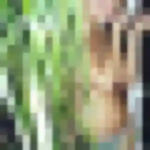 Gladys, 34 ans, en ligne à Royat pour un rencontre adulte