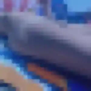 rencontre adulte à Ruca : profil de Pascaline, 40 ans - sans engagement