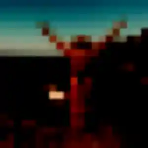 Contacte Issa, 24 ans à Ruffiac en privé