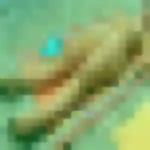 Photo privée de Sandy, 28 ans à Russ - rencontre coquine