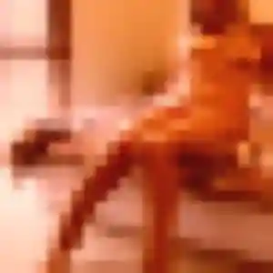 Cindy, 40 ans, cherche un rencontre adulte à Saint-Alban-de-Montbel