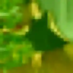 Photo de Sira à Saint-André-d'Huiriat (43 ans) - rencontre adulte gratuit