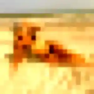 rencontre adulte à Saint-André-de-Corcy : photo de Olufunmi, 19 ans - sans engagement