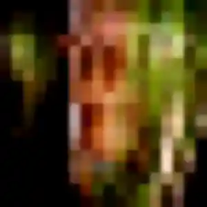 Penda (40 ans) à Saint-André-sur-Vieux-Jonc propose un rencontre adulte ce soir