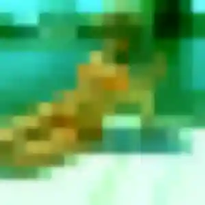 Roxane, femme de 32 ans veut rencontre adulte à Saint-Avaugourd-des-Landes