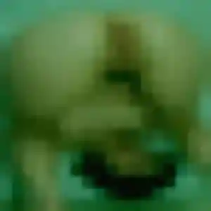 Photo exclusive de Déborah, 32 ans à Saint-Avé - rencontre coquine