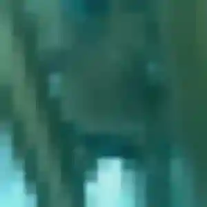 rencontre adulte à Saint-Christophe-du-Ligneron : photo de Dado, 30 ans - accès libre