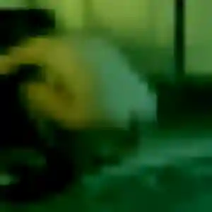 Photo privée de Léonie, 35 ans à Saint-Clair - rencontre sans lendemain