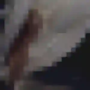Naïma, 41 ans, connectée à Saint-Claude pour une rencontre coquine