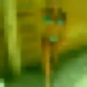 Photo perso de Sonia, 19 ans à Saint-Denis-d'Anjou - rencontre coquine