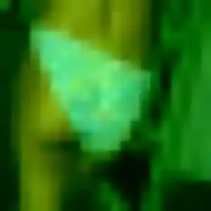 rencontre adulte à Saint-Denis-de-Gastines : photo de Philippine, 38 ans - sans engagement