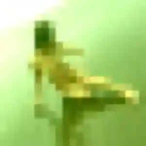 Kafui, 41 ans, veut un rencontre adulte à Saint-Étienne-de-Brillouet