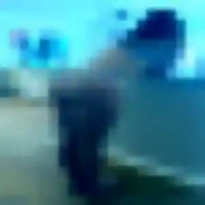 Latifa, femme de 24 ans propose rencontre adulte à Saint-Étienne-du-Valdonnez