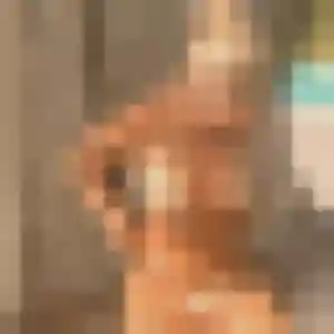 Ludivine, 24 ans, en ligne à Saint-Fromond pour une rencontre coquine
