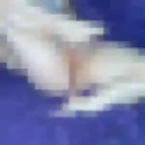 Sixtine (42 ans) à Saint-Gervais-en-Belin cherche une rencontre ce soir