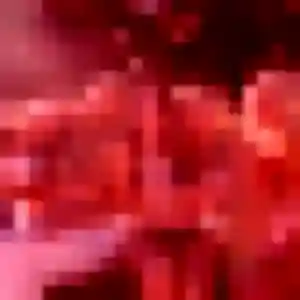 Charmante Codou, 38 ans à Saint-Gobain - voir sa photo