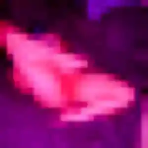 Deborah de Saint-Hernin, 24 ans - rencontre adulte sans prise de tête