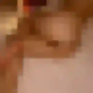 rencontre adulte à Saint-Hilaire-de-la-Côte : profil de Quetsia, 45 ans - inscription gratuite
