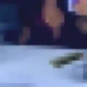 Photo privée de Lou, 27 ans à Saint-Jacques-de-la-Lande - rencontre coquine