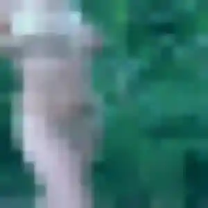 Wanjiku (25 ans) à Saint-Jean-du-Bruel cherche un rencontre adulte maintenant