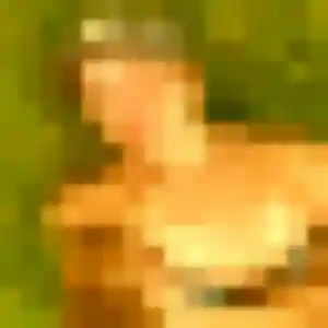 Céline, 32 ans, connectée à Saint-Jory pour un rencontre adulte