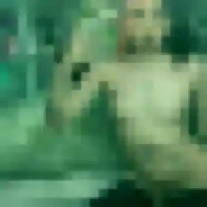 Noëlla, 41 ans, connectée à Saint-Mariens pour une rencontre coquine