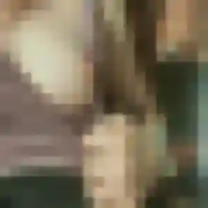 Obiageli, 27 ans, connectée à Saint-Maxire pour un rencontre adulte