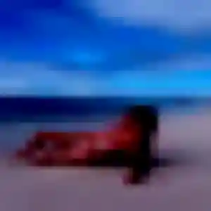 Profil de Déla à Saint-Menges (23 ans) - rencontre adulte discret