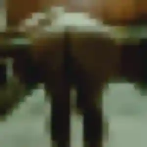 Héloïse, 24 ans, cherche un rencontre adulte à Saint-Nolff