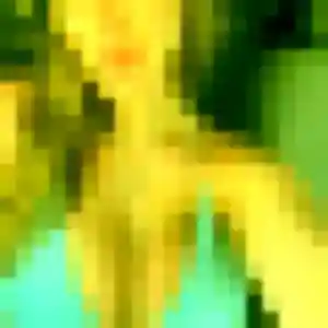 Photo de Bousso à Saint-Parres-aux-Tertres (27 ans) - rencontre adulte anonyme