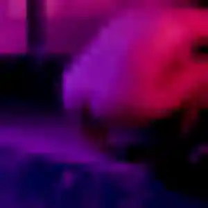 Prisca (20 ans) à Saint-Pathus propose un rencontre adulte aujourd'hui