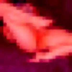 Photo privée de Sixtine, 19 ans à Saint-Pont - rencontre coquine